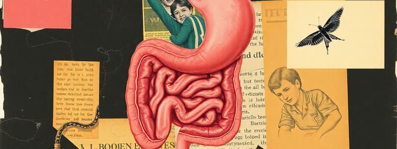 Digestive System Overview Quiz