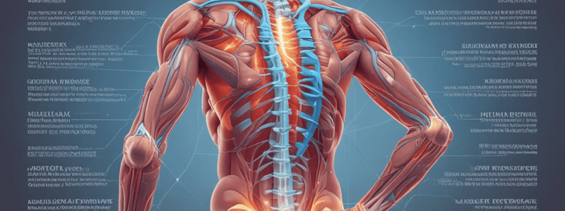 Lower Back Pain Diagnosis and Imaging