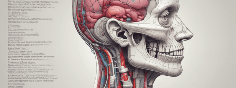 Allgemeine Fachkenntnisse - Anatomie und OP-Indikation