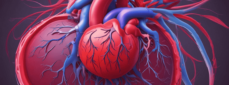 The Circulatory System: Structure, Function, and Diseases