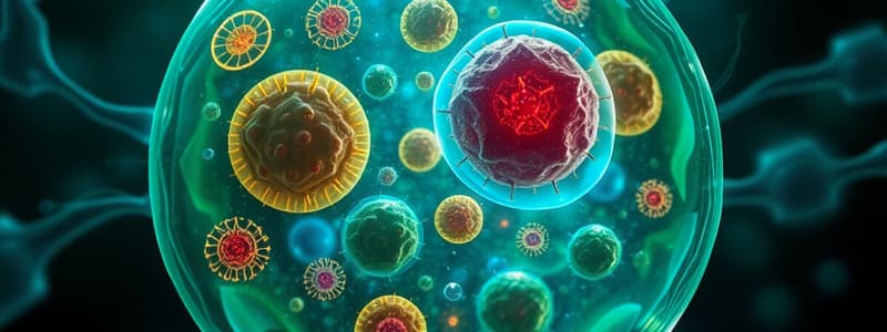 Cell Organelles & Prokaryotic vs. Eukaryotic Cells