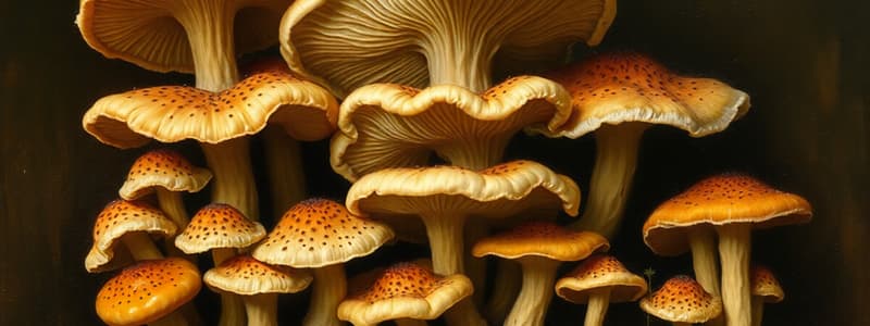 Fungi Overview and Structure Quiz