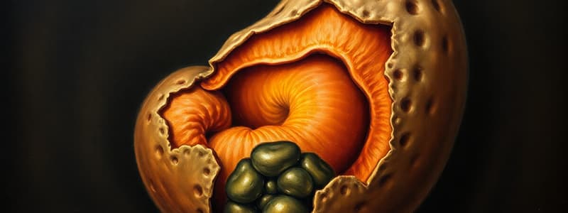 Embryology: Third Week of Development