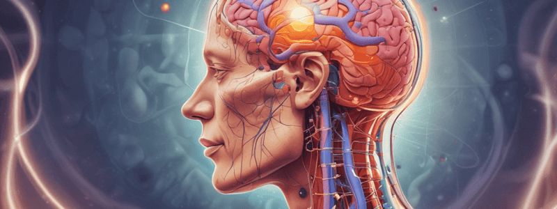 Pain Types: Visceral vs Somatic Pain