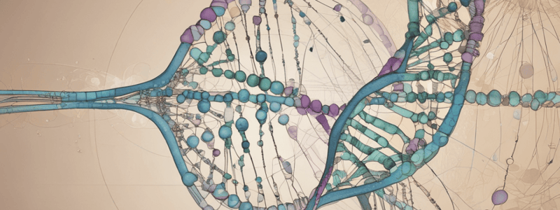 Genetics and Inheritance Patterns (Easy)