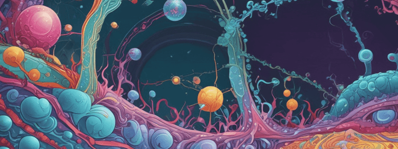 Plasma Membrane Proteins