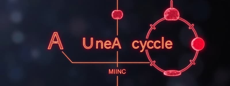 Amino Acids and Metabolism Quiz