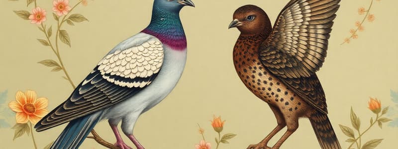 Passenger Pigeon and Thylacine Extinction Quiz