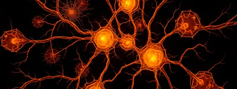 Nerve Tissue and Neuroglia