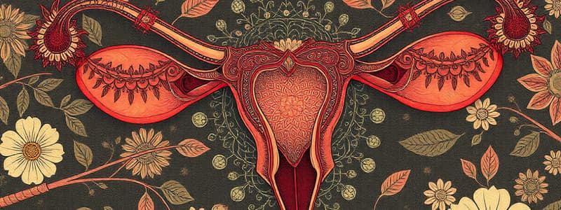 Female Reproductive Biology Quiz