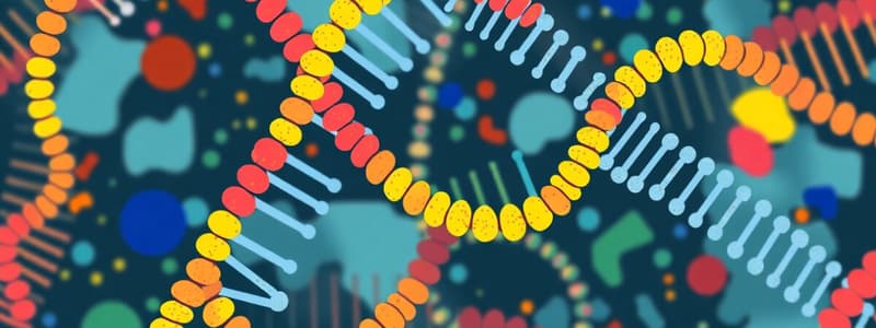 RNA Types and Transcription Processes