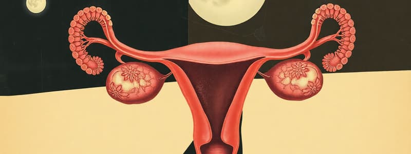 Reproductive System Overview