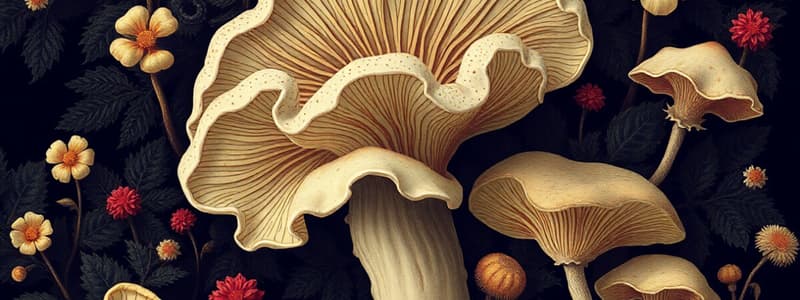 Fungi General Characteristics Quiz