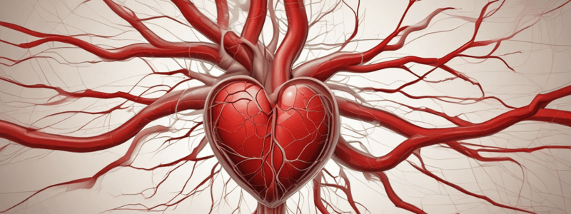 Cardiovascular System Blood Flow Quiz