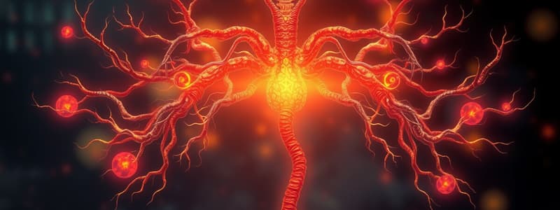 Types of Endocrine Structures Quiz