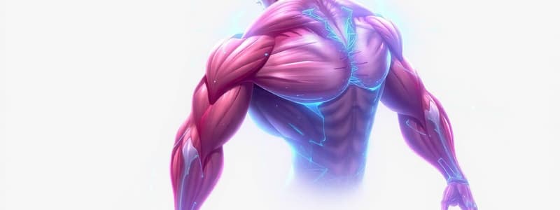 Muscle Function Terminology