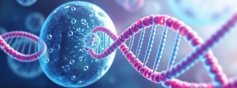 Biology Gene Expression and Cell Division