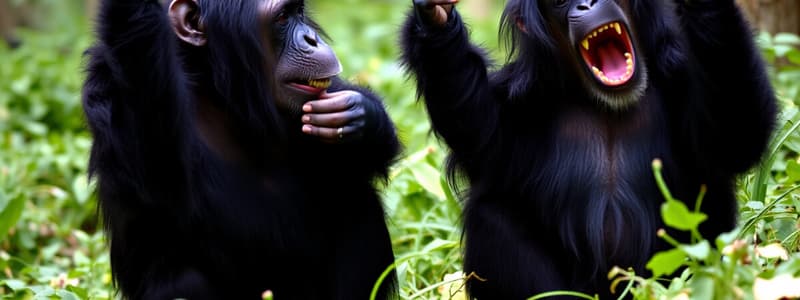 Jane Goodall and Animal Communication