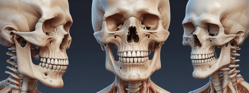 Pathology of Bone Neoplastic Disorders Quiz