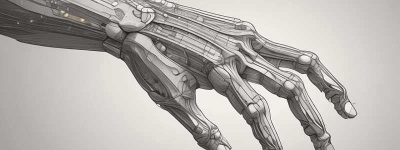 Upper Limb Anatomy