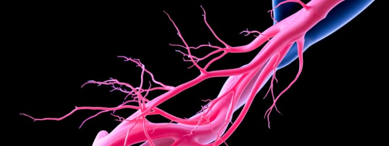 Peripheral Nervous System: Brachial Plexus OT 505