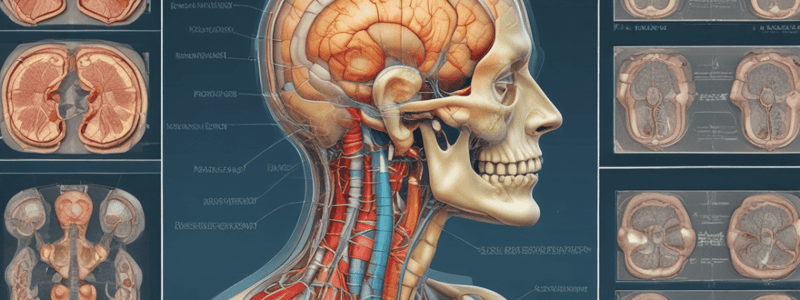 Radiology Artifacts