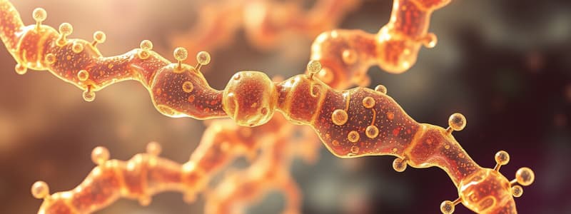 Biochemistry: Ribose 5-Phosphate Formation