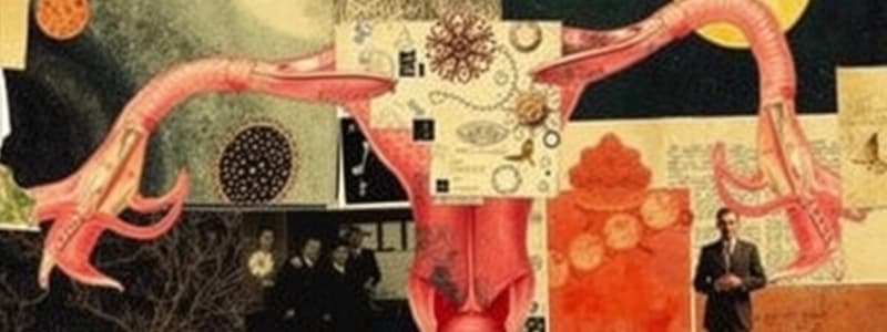 Reproductive System and Symbolism