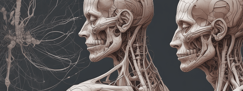 Human Body Membranes