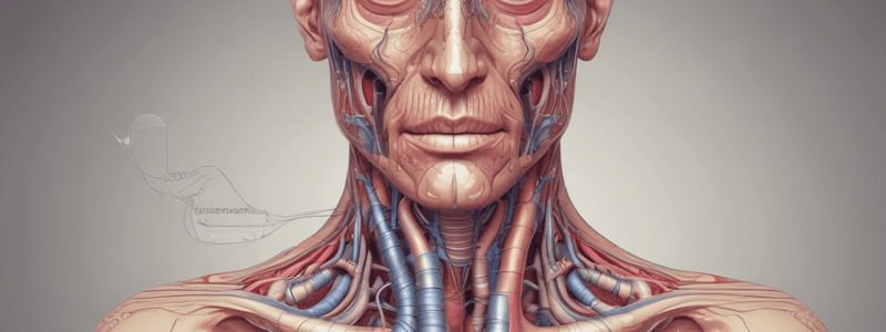 Esophagus Anatomy and Physiology