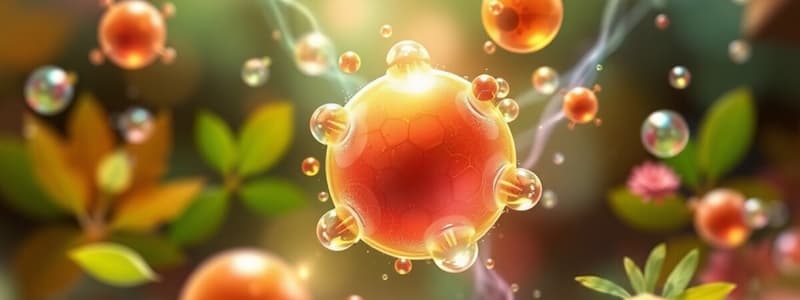 Nanoparticles Synthesis by Plants