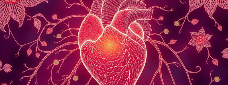 Propriétés Cellule Cardiaque et ECG