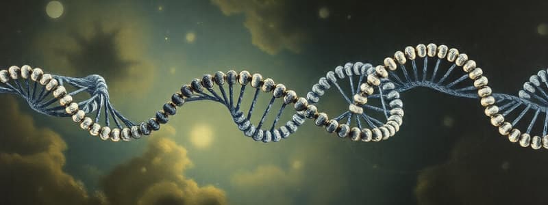 DNA Replication Overview