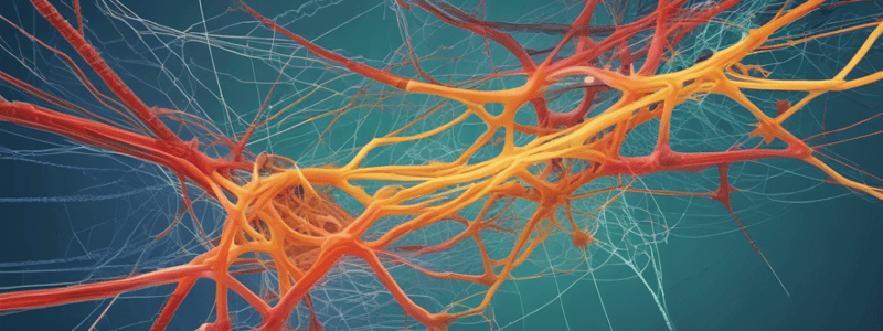 8- (9) Cytoskeleton Protein Networks Quiz