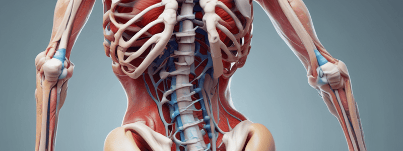 Human Locomotory System: Bones, Muscles, Joints