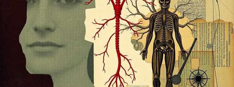 Endocrine vs Nervous Systems Overview