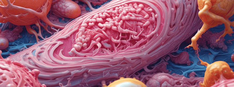 Connective Tissue Classification Quiz