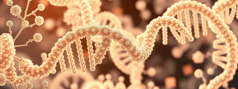 mRNA Translation and tRNA