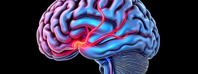 Cerebral Perfusion Pressure (CPP)