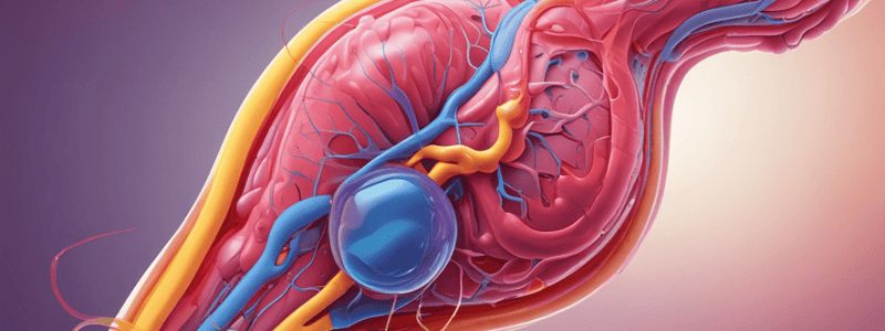 Nephron Structure and Urine Analysis