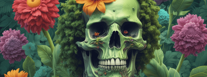 Toxic Plants and Their Effects on the Human Body