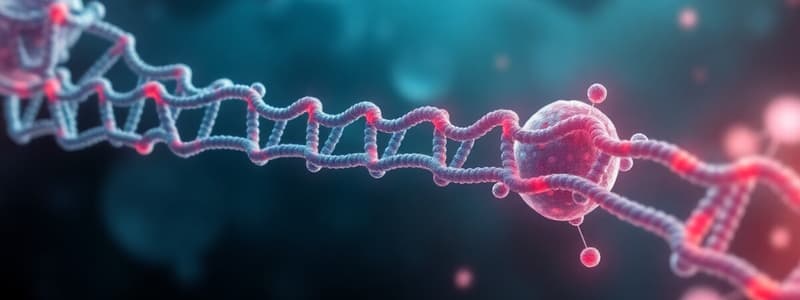 Eukaryotic Transcription: L13