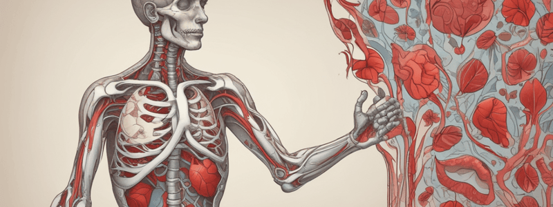 Anatomy of the Heart and Aorta