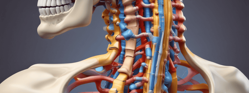 Ligamentos de la Columna Vertebral