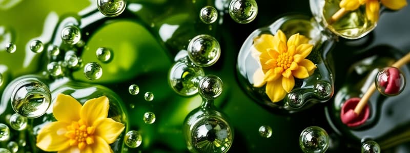 Aromatic Waters Overview