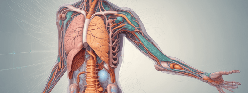 Gastric Motility and Innervation