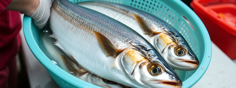 Quality of Fishery Products