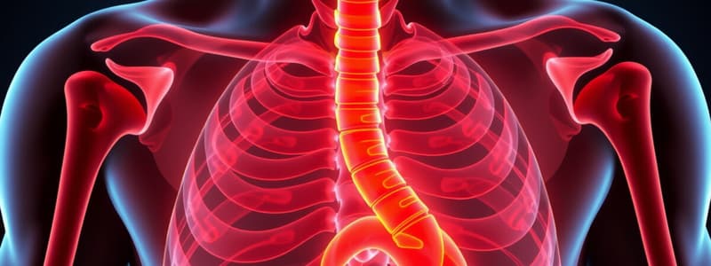 Hyperparathyroidism Overview