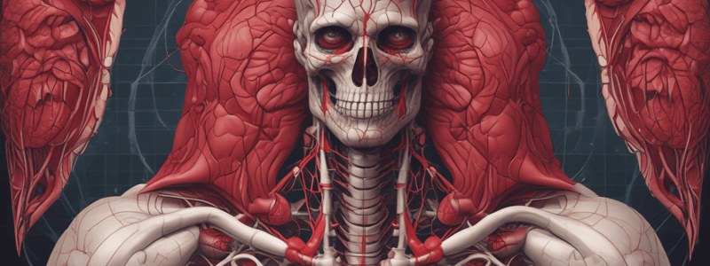 Circulatory System: The Heart