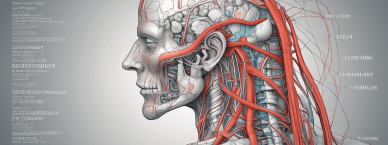 Muscle Physiology: Membrane Potential and Action Potential